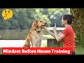 What should be your Mindset &amp; Approach for House Training your Dog?