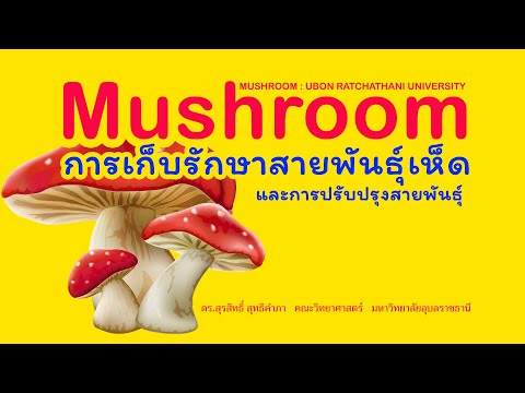 Mushroom [ 001 ] : ชีววิทยาของเห็ด - การเก็บรักษาสายพันธุ์เห็ด