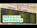 Sncb  la pire ligne de train belge rcompense dun pigeon dor  on nest pas des pigeons