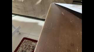 78454430086  9D6D5EC4 57EC 41FF A814 55862E9772BE