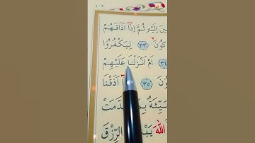 سورة الروم الأية 33 إلى 36 القارئ سعد الغامدي