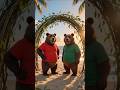 Two Smart Bears Build a Jungle House 🐻 | Like & Subscribe |AI Animal Story #shorts #bearbuilds#viral