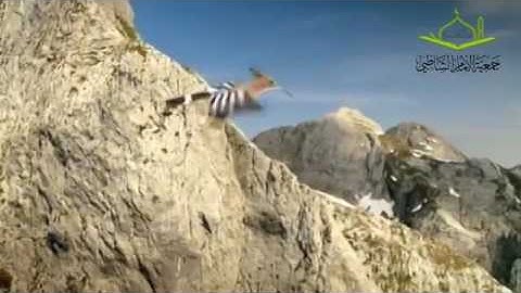 سعيد الخطيب - سورة النمل