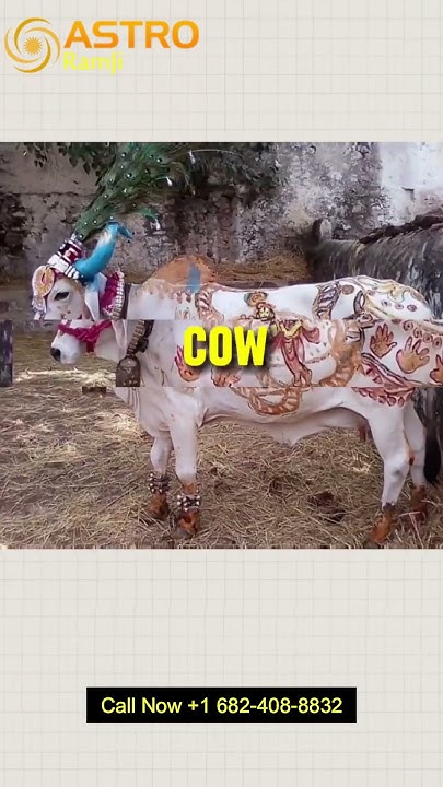 why-is-cow-worshipped-in-hindu-religion-astrolger-love