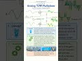 Analog TDM Multiplexer Explained in 45 Seconds ⚡ EE Concepts