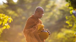 Download Lagu Making Balanced Effort: Venerable Sona Thera Download Lagu Making Balanced Effort: Venerable Sona Thera