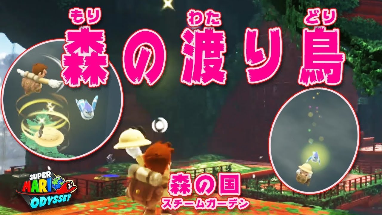 スーパーマリオ オデッセイ】森の渡り鳥＃101 - YouTube