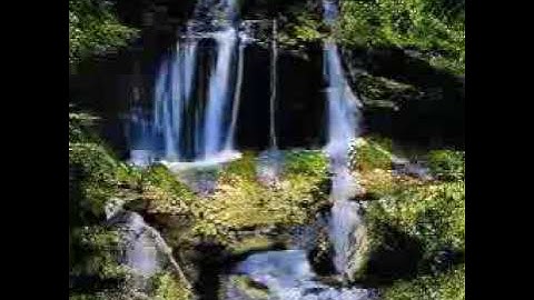 landscapes 256x256 latent vector curated seeds stylegan2-ada-pytorch #1