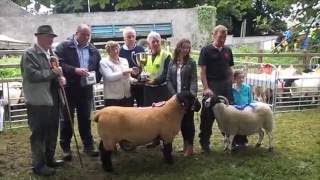 The Manorhamilton Show 2016