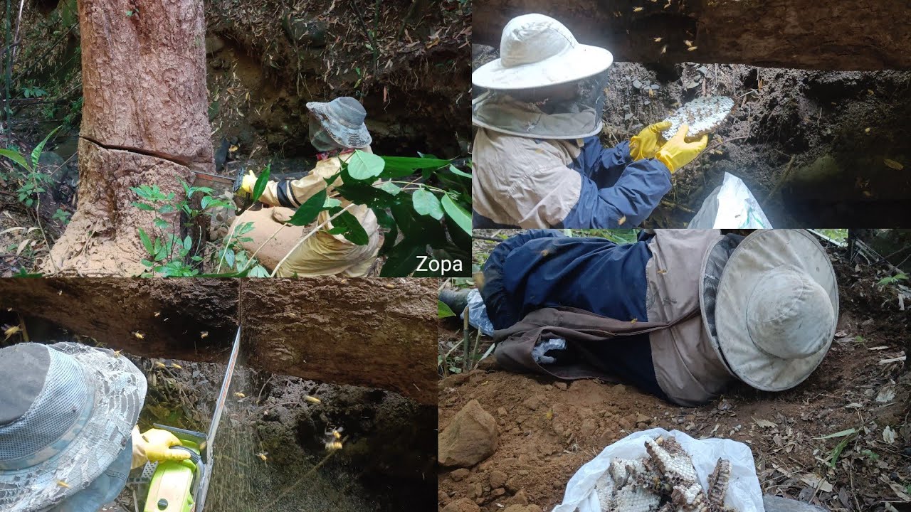 Khawidang chhun lak leh hmiah mai ang aw