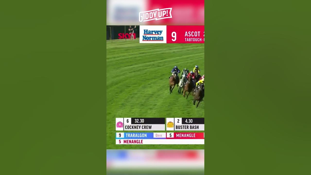 AMAZING 2023 PERTH CUP WIN BY BUSTER BASH 🐎🏆 shorts ascotcup YouTube