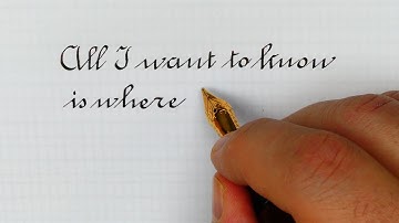 Funny quote from C. Munger | Custom fountain pen | Ronde script handwriting practice