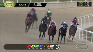 March 1, 2026  Race 6