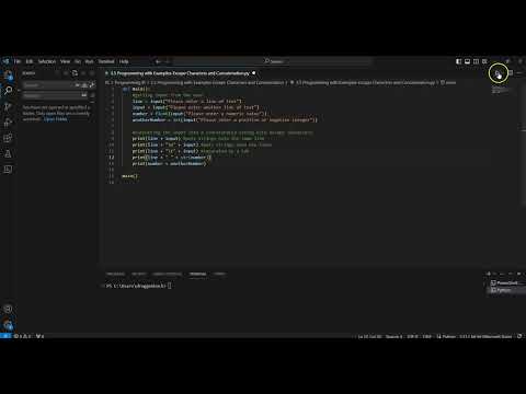 3.5 Programming with Examples-Escape Characters and Concatenation