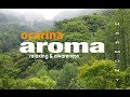 Ocarina aroma 大自然をオカリナで奏でた癒し曲集ーHARMONY