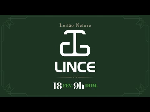 Lote 37 (Lenna FIV Lince - GART 1649)