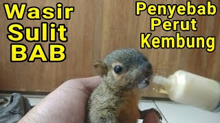 Mengatasi Bajing Sulit Bab. Bisa Wasir Dan Bikin Kembung. Yang