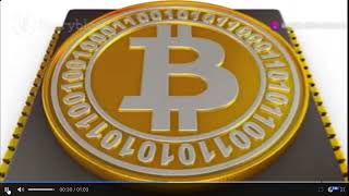 Bull Run BTCC NftMiner Capital y WAAS cada uno un ingreso