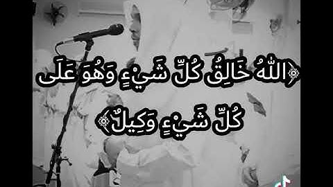 (( الله خالق كل شيء وهو على كل شيء قدير )) /// تلاوة مؤثرة بصوت رائع