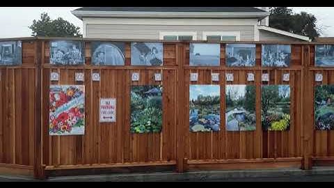 "The Public Domain Fence: Smithsonian & Library of Congress Images in Public Art Installation"