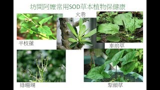 1070714《台灣亞健康》直播