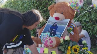 Woman pleads not guilty in alleged National City DUI crash that killed teen, stepfather