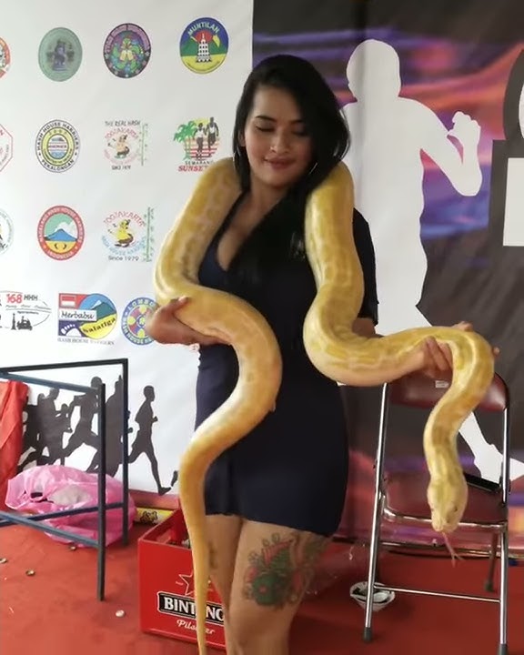 Uci Farantika Ular Saja Aku Pegang Apalagi Punya Kamu