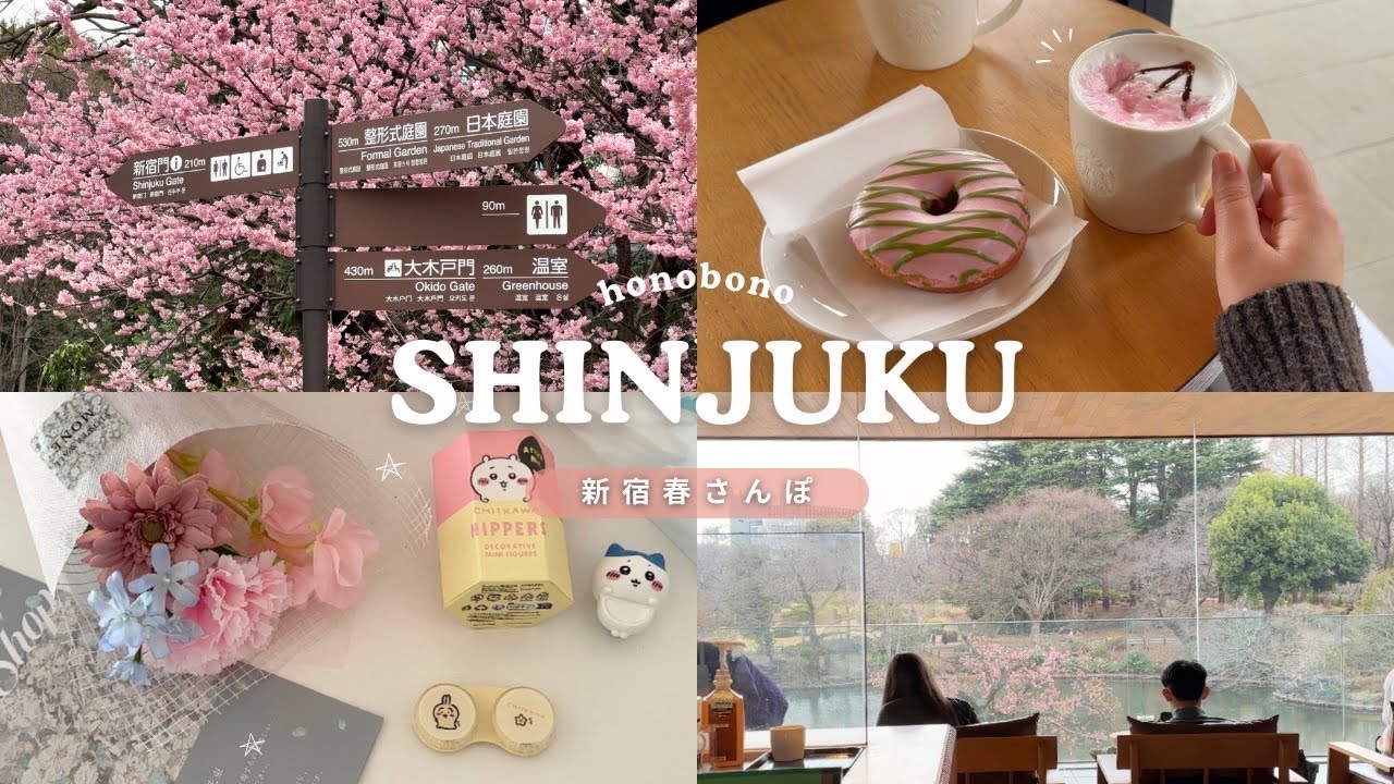 新宿御苑で深呼吸する休日🌸☕️｜桜スタバと花屋さん、ちいかわ購入品