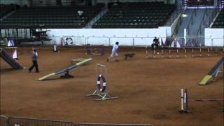 Bark 8 9 13 Gris Std W Terri Q