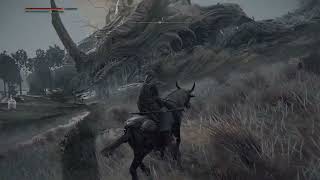 ELDEN RING - Waking Up The Big Momma Dragon