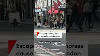 Five Horses Throw Their Riders, And Gallop Off From A Military Rehearsal Near Buckingham Palace.