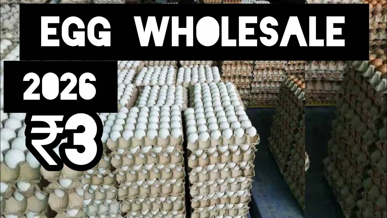 ₹3 EGG wholesale business, Ande ka wholesale business