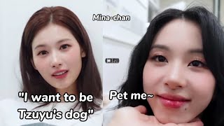 when twice wants being tzuyu's *dog* and she's so done with it