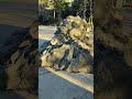 Вид на Крымские горы.Ялта.Заброшеный санаторий М.О🏔️⛰️.Бывшая летняя танц площадка .🕺🪩
