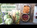 Life in a Tiny House called Fy Nyth - Early September Garden