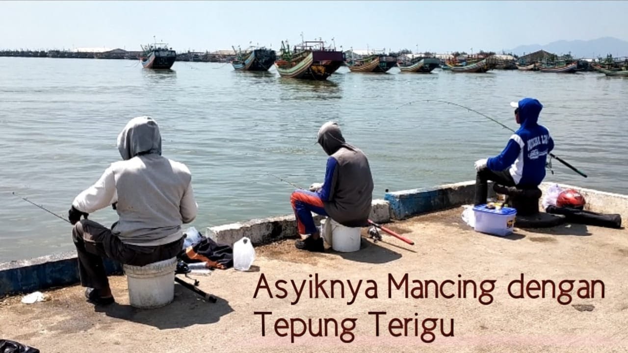 Asyiknya Memancing memakai Umpan Tepung Terigu di Pelabuhan Rembang.