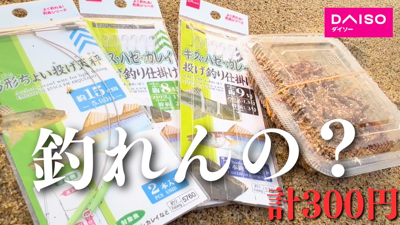 ダイソーだけでそろう仕掛けでキス釣りをやってみると…。
