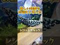 【メダカ】我が家の新しい仲間達！#アクアリウム #vlog #shorts #メダカ #めだか #メダカ繁殖 #めだかのいる生活#エビ#レジーナブラック#ブルーシュリンプ#レッドビーシュリンプ