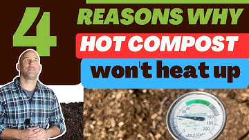 The Cold Truth About Hot Compost: 4 Reasons Why It