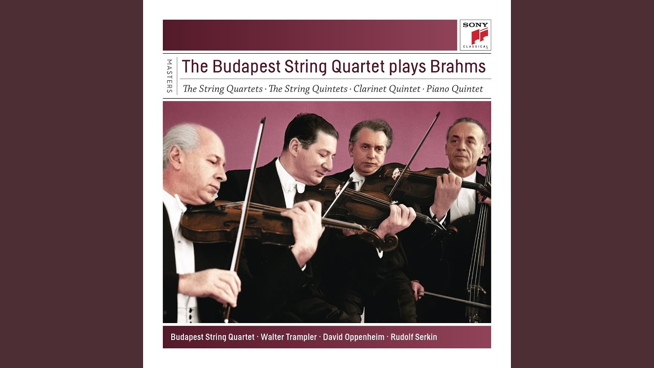 在 YouTube 上觀看「Quintet for Strings and Strings in B Minor, Op. 115: I. Allegro」