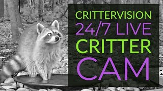 CritterVision Critter Cam