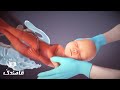 زایمان طبیعی با انیمیشن سه بعدی زایمان طبیعی با انیمیشن سه بعدی