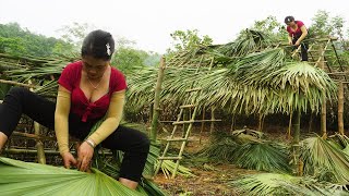 Build bamboo house in the forest - How to make palm leaf roof - Build LOG CABIN to build farm