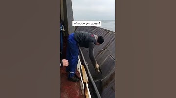 😲 Thousands of shipping containers get lost at sea each year. #oceans #ocean #marine #sea #seas