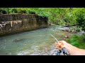The best way to catch big wild brown trout fly fishing