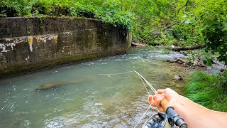 The Best Way To Catch Big Wild Brown Trout! (Fly Fishing)