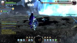 Dragon Nest Sea Lvl 80 SDN Dragon fellowship