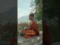 Coltivare la felicità per sentirsi vivi #shorts #progettohappiness #buddhism #monkslife #meditation
