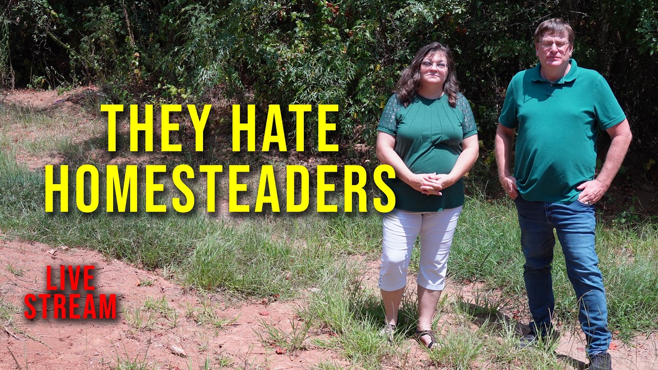 They Hate Us. Homesteading Live Q & A Live Stream