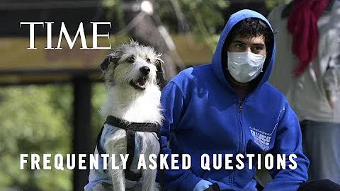 COVID-19: Can Pets Get The Illness? Here's What Experts Say | TIME